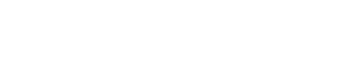 bw西汉姆联
